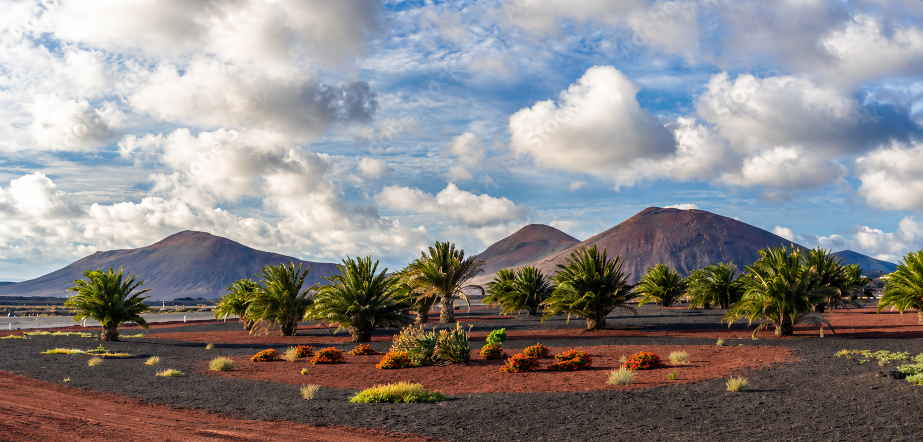 Volcanic mountains and palm trees in Timanfaya National Park, Lanzarote